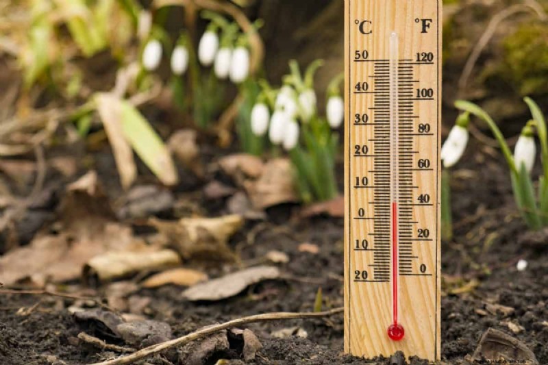 Risoluzione dei problemi di germinazione dei semi primaverili:21 problemi e soluzioni comuni 