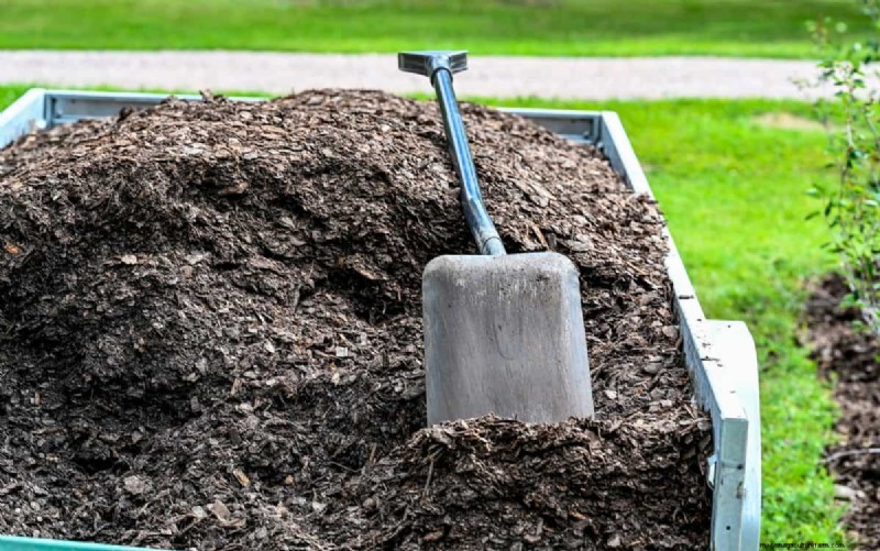 Risoluzione dei problemi di germinazione dei semi primaverili:21 problemi e soluzioni comuni 