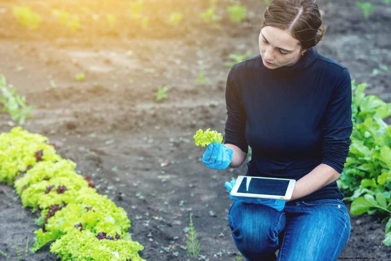 Risoluzione dei problemi di germinazione dei semi primaverili:21 problemi e soluzioni comuni 