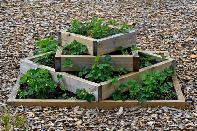Técnicas de jardinería innovadoras:consejos respaldados por la ciencia para una cosecha abundante 