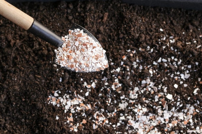 Técnicas de jardinería innovadoras:consejos respaldados por la ciencia para una cosecha abundante 