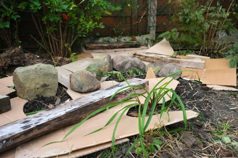 Técnicas de jardinería innovadoras:consejos respaldados por la ciencia para una cosecha abundante 