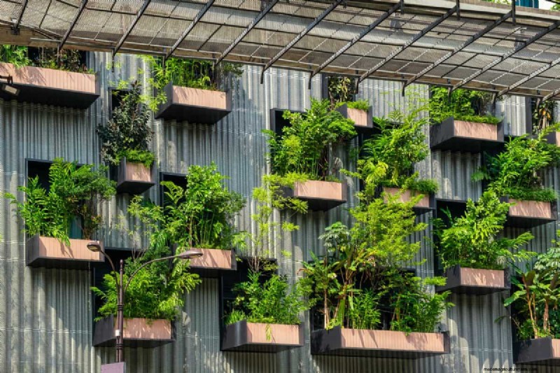 Técnicas de jardinería innovadoras:consejos respaldados por la ciencia para una cosecha abundante 