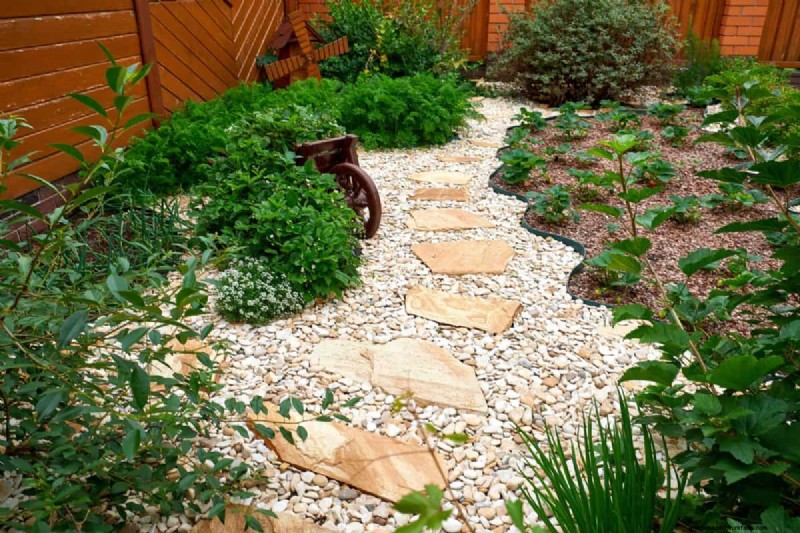 Técnicas de jardinería innovadoras:consejos respaldados por la ciencia para una cosecha abundante 