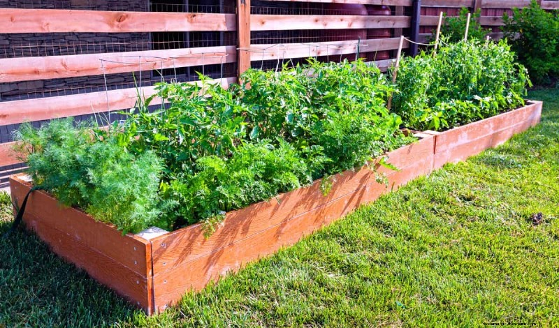Técnicas de jardinería innovadoras:consejos respaldados por la ciencia para una cosecha abundante 