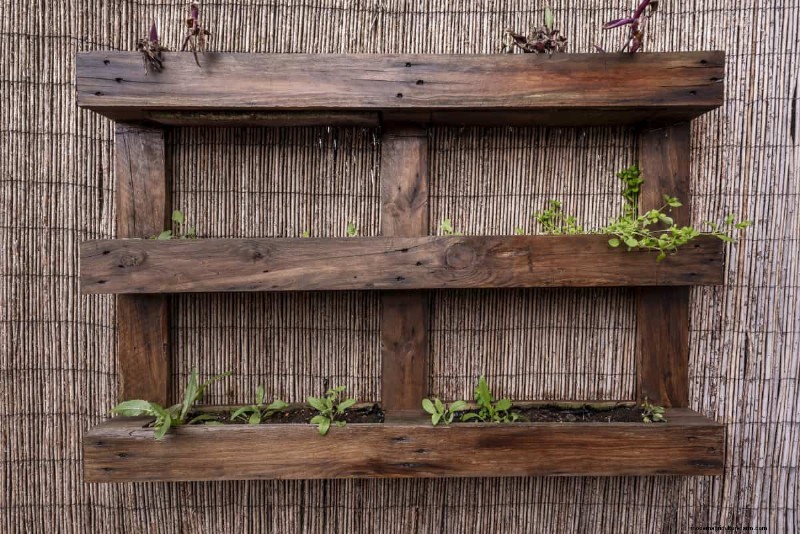 Técnicas de jardinería innovadoras:consejos respaldados por la ciencia para una cosecha abundante 