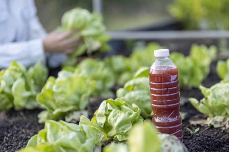 Técnicas de jardinería innovadoras:consejos respaldados por la ciencia para una cosecha abundante 