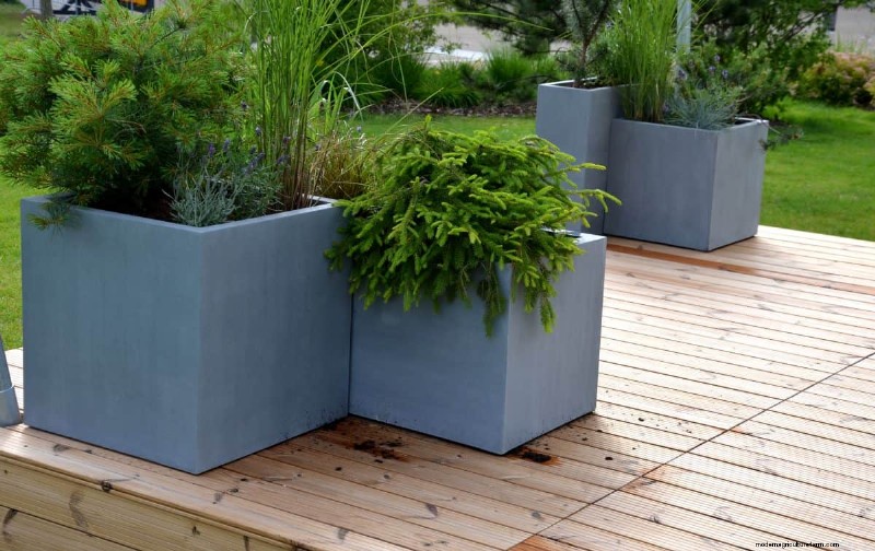 Técnicas de jardinería innovadoras:consejos respaldados por la ciencia para una cosecha abundante 
