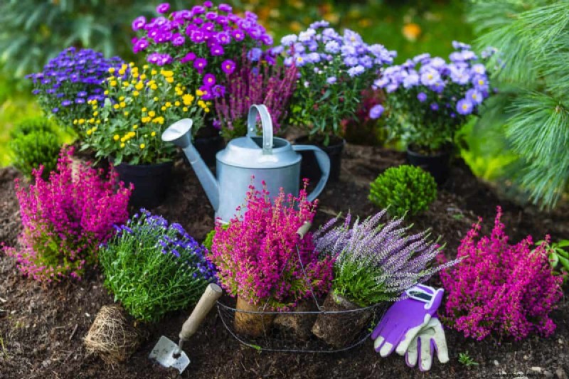Gids voor het planten van de lente:optimale timing voor uw tuinzone 