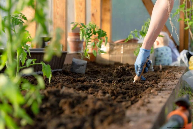 Gids voor het planten van de lente:optimale timing voor uw tuinzone 