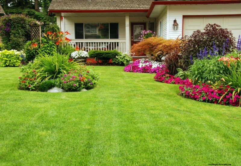 Gids voor het planten van de lente:optimale timing voor uw tuinzone 