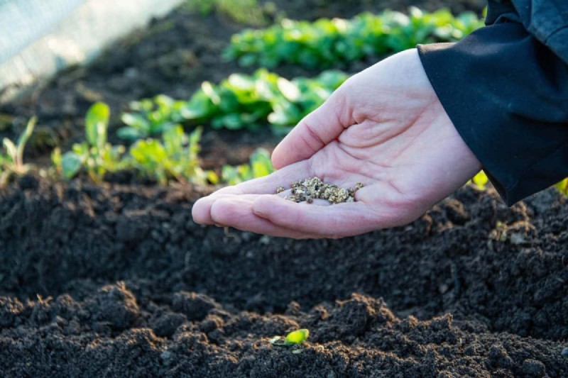Gids voor het planten van de lente:optimale timing voor uw tuinzone 