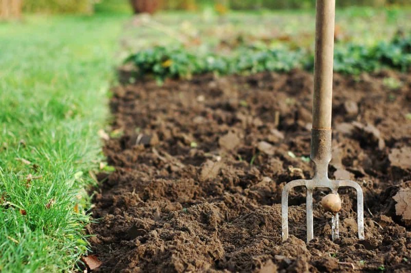 Maak uw tuinbedden klaar voor de lente:22 tips van experts 