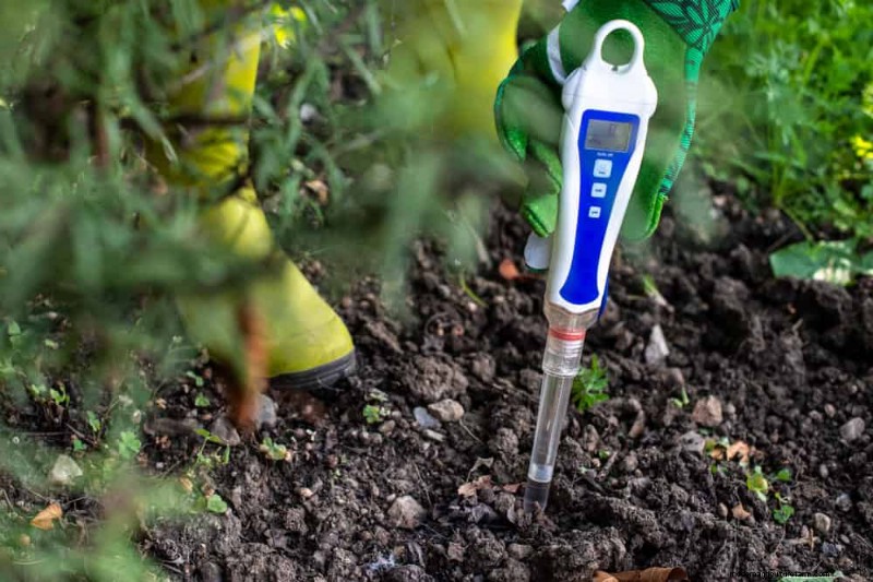 Maak uw tuinbedden klaar voor de lente:22 tips van experts 