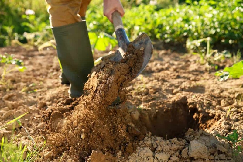 Maak uw tuinbedden klaar voor de lente:22 tips van experts 