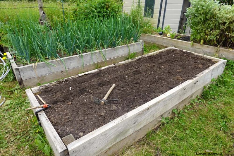 Maak uw tuinbedden klaar voor de lente:22 tips van experts 