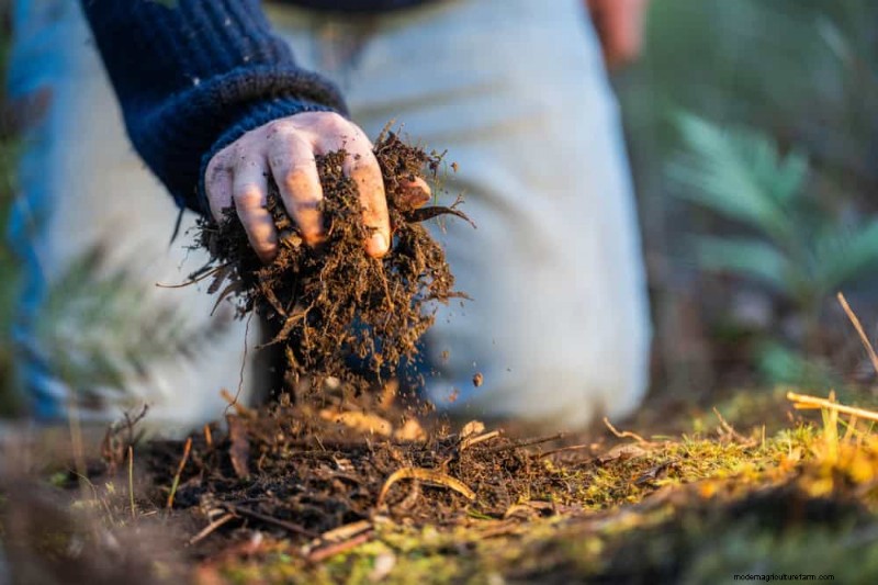 Maak uw tuinbedden klaar voor de lente:22 tips van experts 