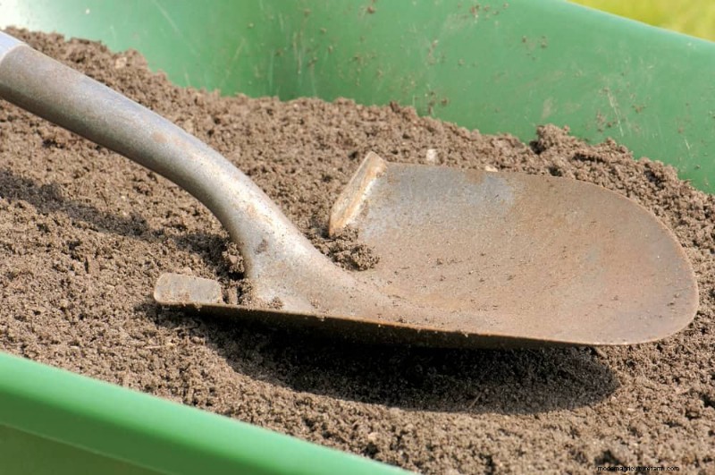 Maak uw tuinbedden klaar voor de lente:22 tips van experts 