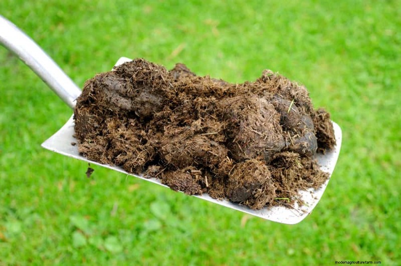 Maak uw tuinbedden klaar voor de lente:22 tips van experts 