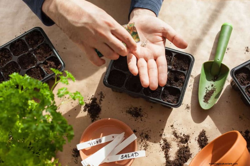 Maak uw tuinbedden klaar voor de lente:22 tips van experts 