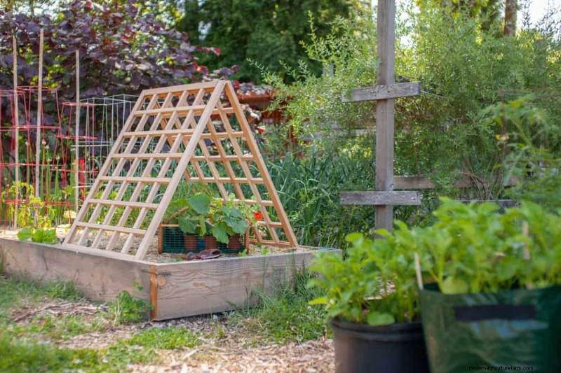 Maak uw tuinbedden klaar voor de lente:22 tips van experts 