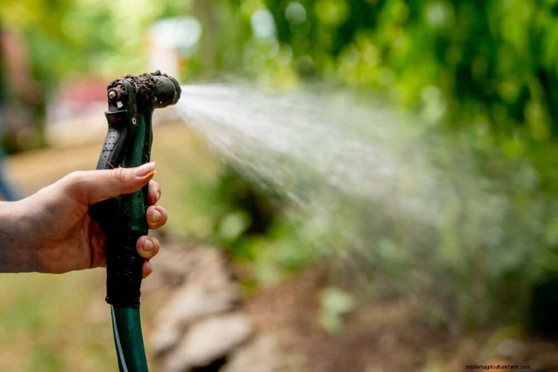 Maak uw tuinbedden klaar voor de lente:22 tips van experts 