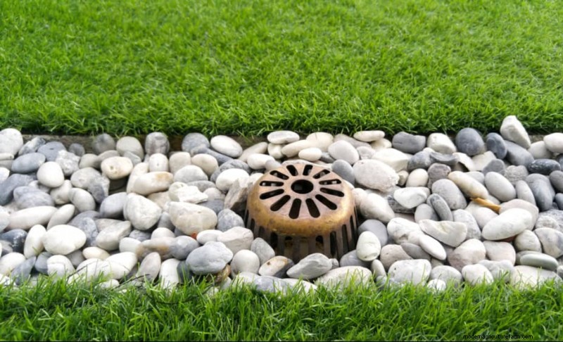 Mejore el drenaje del jardín:21 soluciones sin excavación para plantas más saludables 