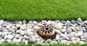 Migliora il drenaggio del giardino:21 soluzioni senza scavo per piante più sane 