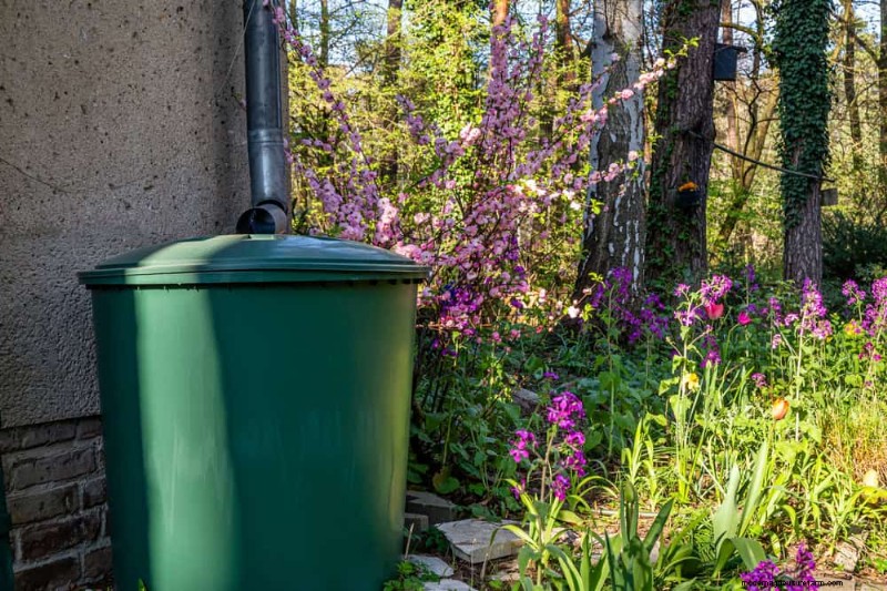 Mejore el drenaje del jardín:21 soluciones sin excavación para plantas más saludables 