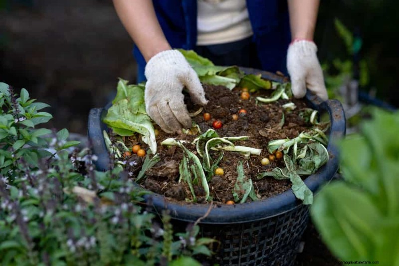 Mejore el drenaje del jardín:21 soluciones sin excavación para plantas más saludables 
