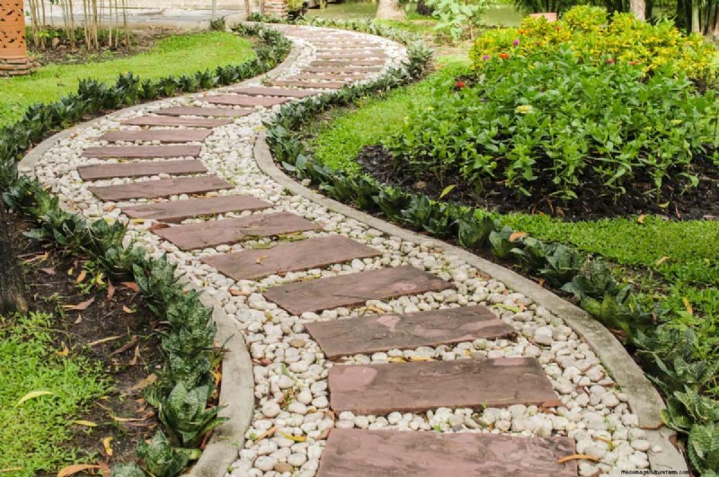 Mejore el drenaje del jardín:21 soluciones sin excavación para plantas más saludables 