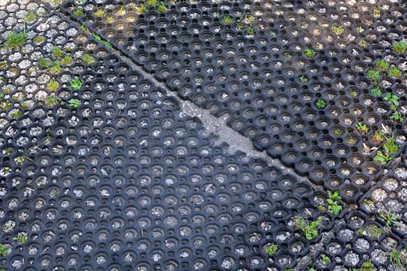 Mejore el drenaje del jardín:21 soluciones sin excavación para plantas más saludables 