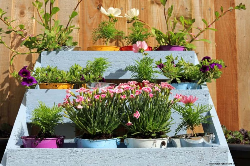 Mejore el drenaje del jardín:21 soluciones sin excavación para plantas más saludables 