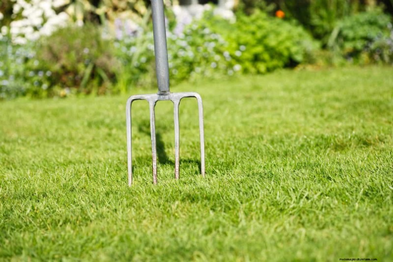 Mejore el drenaje del jardín:21 soluciones sin excavación para plantas más saludables 