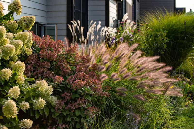 Mejore el drenaje del jardín:21 soluciones sin excavación para plantas más saludables 