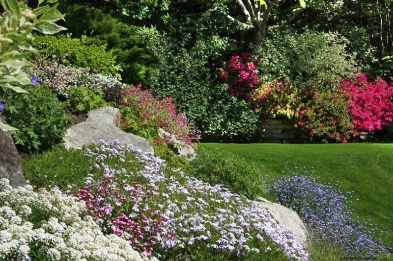 Mejore el drenaje del jardín:21 soluciones sin excavación para plantas más saludables 