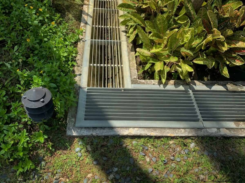 Mejore el drenaje del jardín:21 soluciones sin excavación para plantas más saludables 