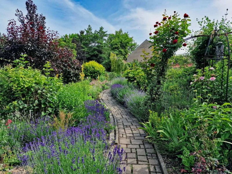 Trek kolibries aan:30 prachtige bloemen voor een bloeiende tuin 