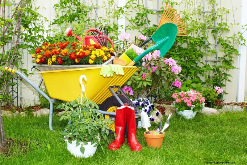 Essentiële tuingereedschap voor beginners:bouw een bloeiende tuin 