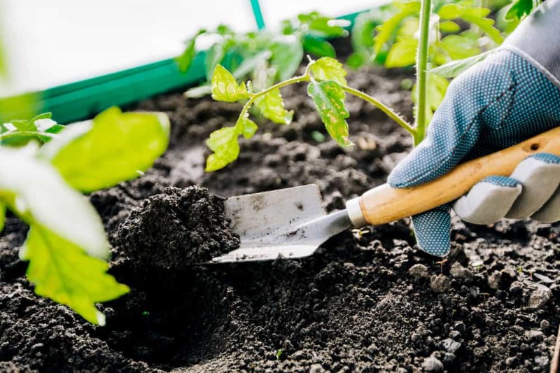 Essentiële tuingereedschap voor beginners:bouw een bloeiende tuin 