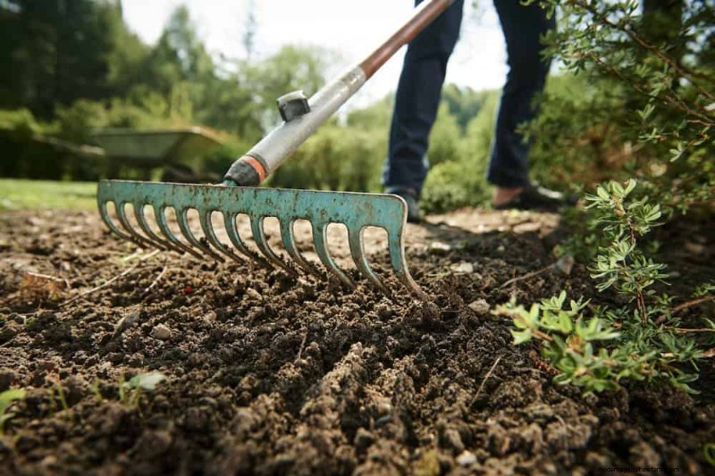 Essentiële tuingereedschap voor beginners:bouw een bloeiende tuin 