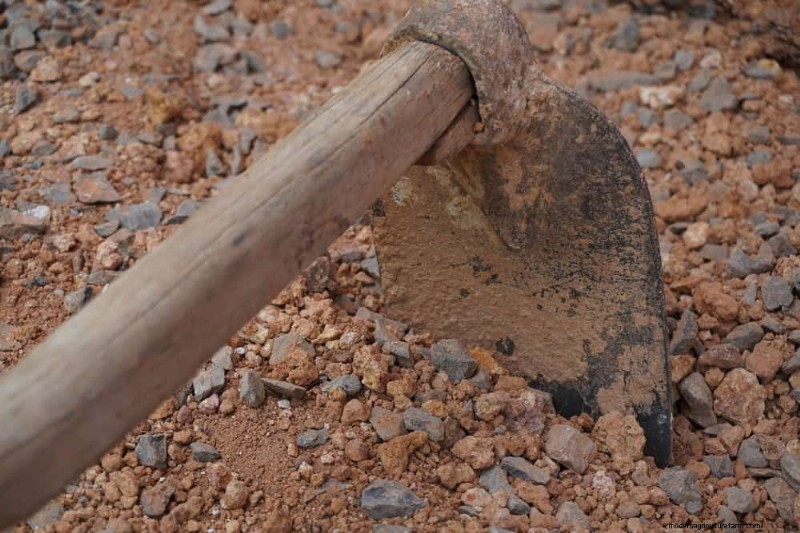 Essentiële tuingereedschap voor beginners:bouw een bloeiende tuin 
