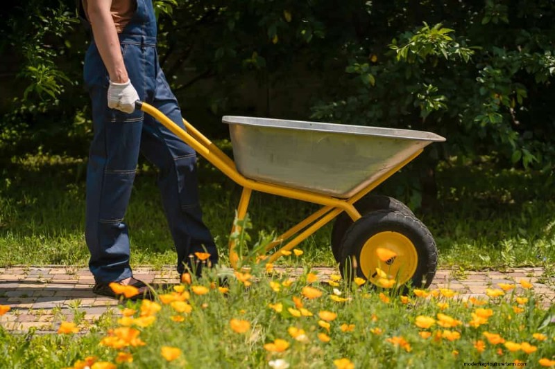Essentiële tuingereedschap voor beginners:bouw een bloeiende tuin 