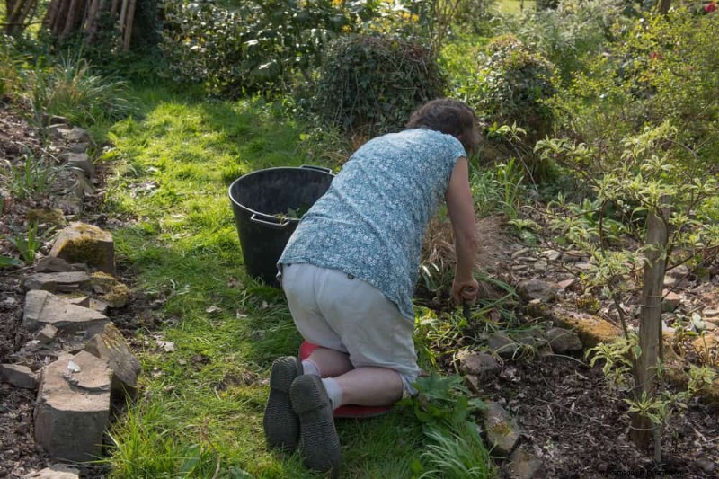 Essentiële tuingereedschap voor beginners:bouw een bloeiende tuin 