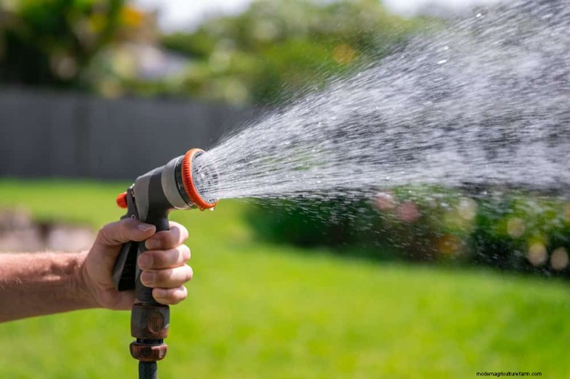 Essentiële tuingereedschap voor beginners:bouw een bloeiende tuin 