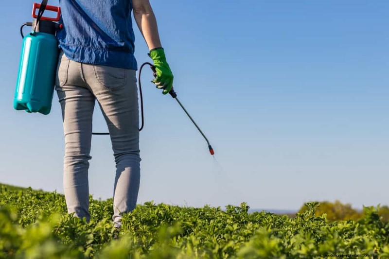 Essentiële tuingereedschap voor beginners:bouw een bloeiende tuin 