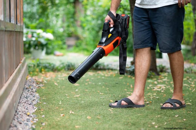 Essentiële tuingereedschap voor beginners:bouw een bloeiende tuin 