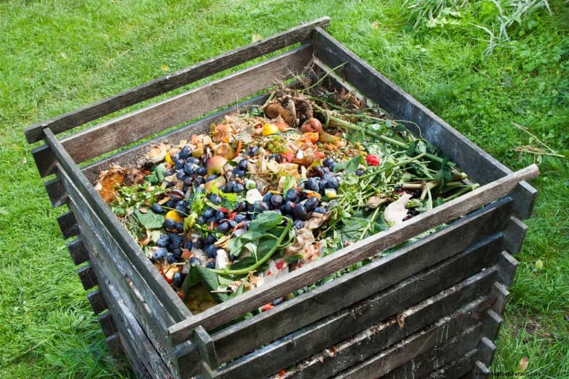 Essentiële tuingereedschap voor beginners:bouw een bloeiende tuin 