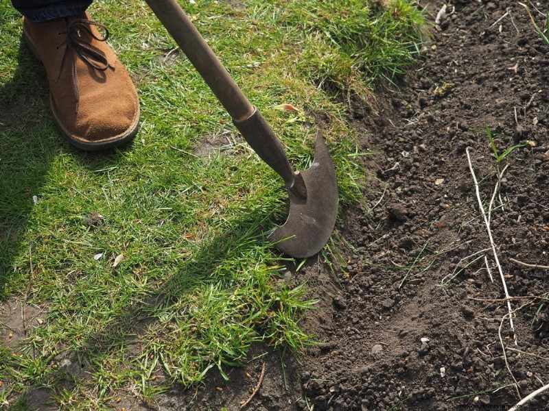 Essentiële tuingereedschap voor beginners:bouw een bloeiende tuin 