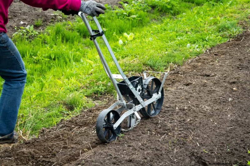 Essentiële tuingereedschap voor beginners:bouw een bloeiende tuin 